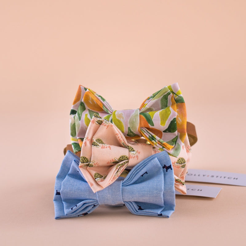 Famille Tortue Bow Tie