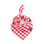 Red Gingham Bandana