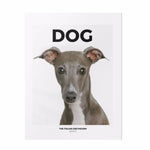 DOG Magazine - Issue 7