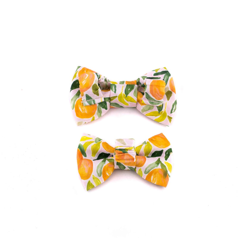 Gloria Bow Tie