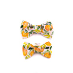 Famille Tortue Bow Tie