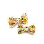 Orange Garden Bow Tie