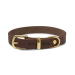 "Butter" Dog Collar - Classic Brown