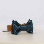 Poirot Bow Tie