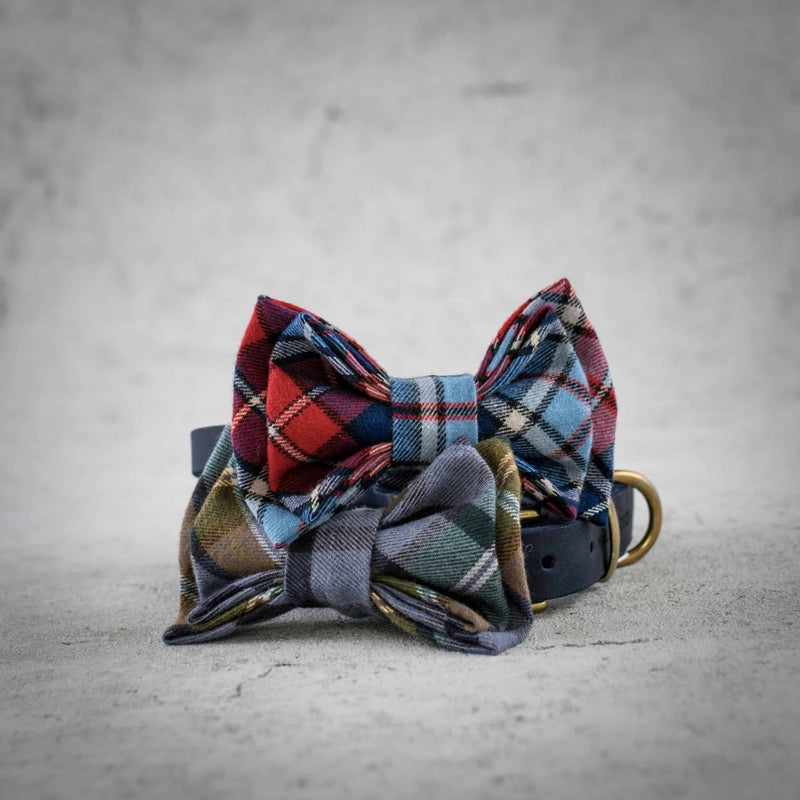 Falkland Bow Tie