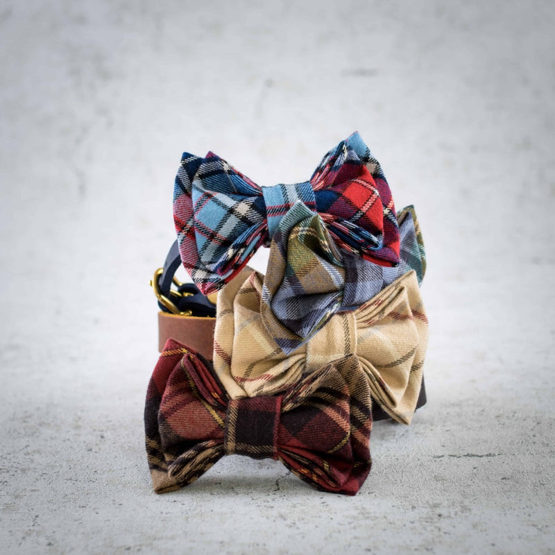 Falkland Bow Tie